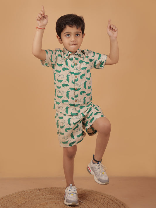 Crocodile Co-ored Set For Boys - 23