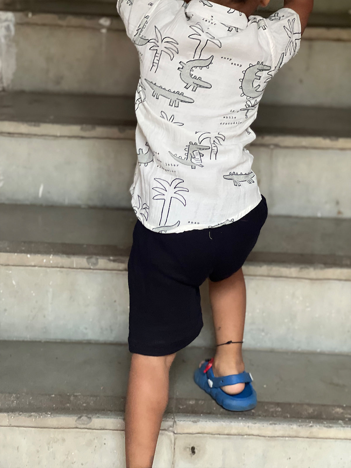 Boys Co-ord Set -Alligator Print - 66