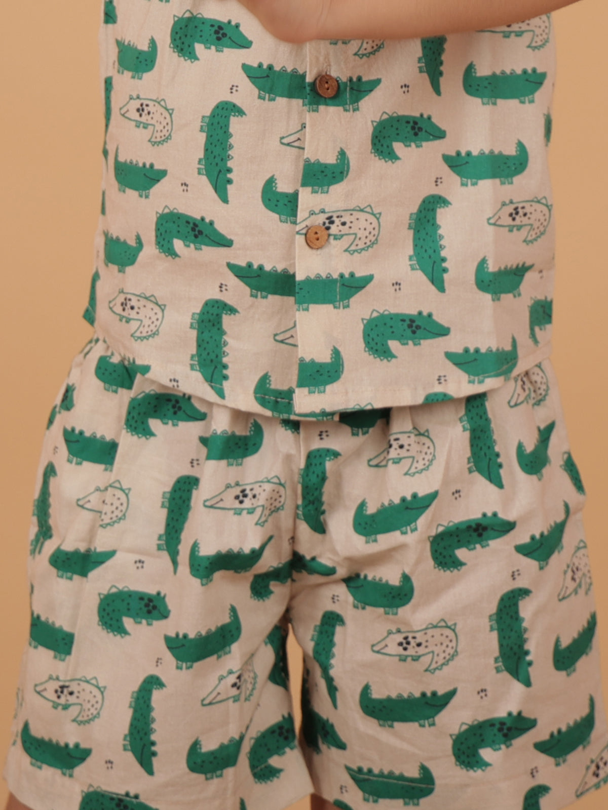 Crocodile Co-ored Set For Boys - 23