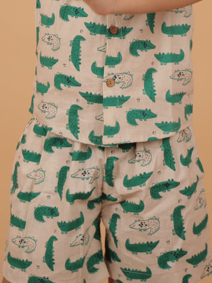 Crocodile Co-ored Set For Boys - 23